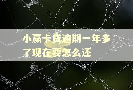 小赢卡贷逾期一年多了现在要怎么还
