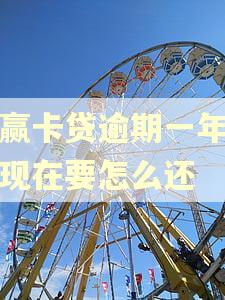 小赢卡贷逾期一年多了现在要怎么还
