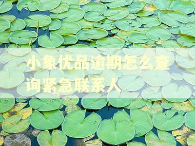 小象优品逾期怎么查询紧急联系人