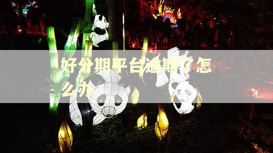 好分期平台逾期了怎么办