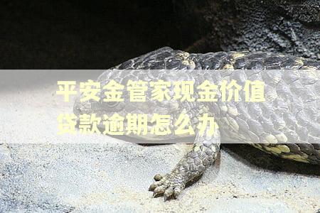 平安金管家现金价值贷款逾期怎么办