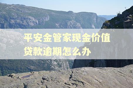 平安金管家现金价值贷款逾期怎么办