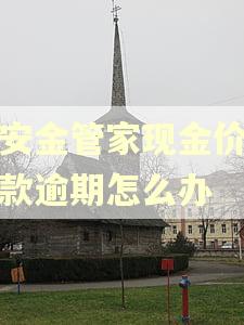 平安金管家现金价值贷款逾期怎么办 平安金管家现金价值贷款逾期怎么办