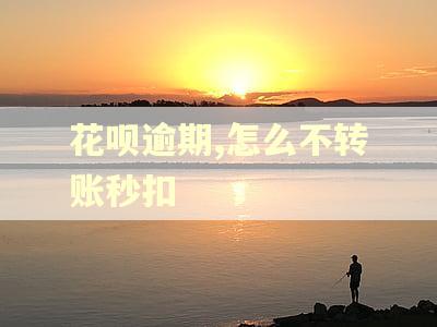 花呗逾期,怎么不转账秒扣 花呗逾期,怎么不转账秒扣