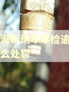 上海机动车年检逾期怎么处罚