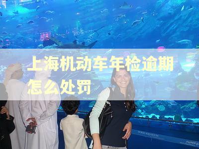 上海机动车年检逾期怎么处罚 上海机动车年检逾期怎么处罚