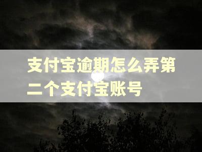 支付宝逾期怎么弄第二个支付宝账号