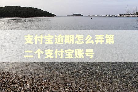 支付宝逾期怎么弄第二个支付宝账号