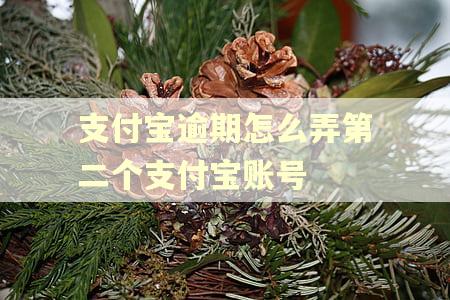 支付宝逾期怎么弄第二个支付宝账号 支付宝逾期怎么弄第二个支付宝账号