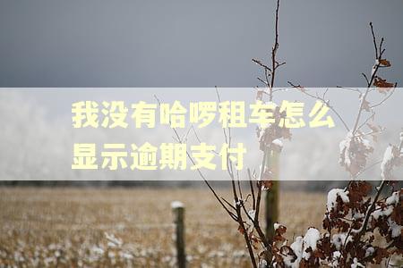 我没有哈啰租车怎么显示逾期支付