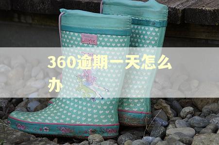 360逾期一天怎么办