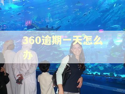 360逾期一天怎么办