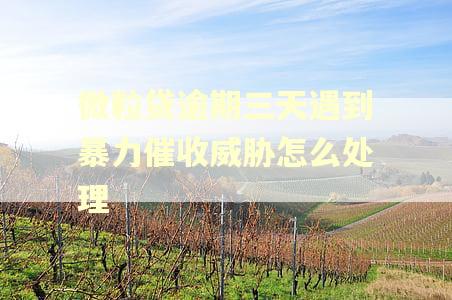 微粒贷逾期三天遇到暴力催收威胁怎么处理