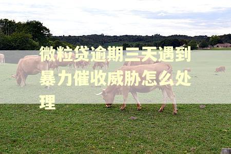 微粒贷逾期三天遇到暴力催收威胁怎么处理