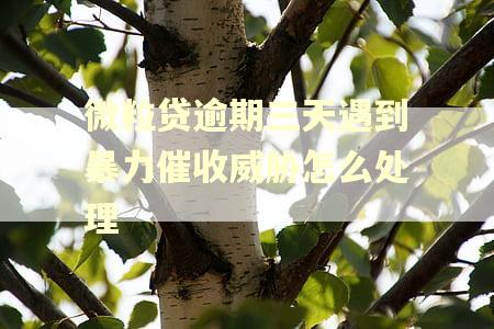 微粒贷逾期三天遇到暴力催收威胁怎么处理