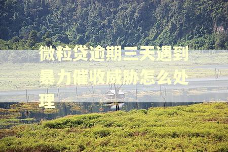 微粒贷逾期三天遇到暴力催收威胁怎么处理 微粒贷逾期三天遇到暴力催收威胁怎么处理
