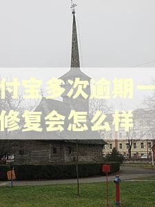 支付宝多次逾期一次性修复会怎么样