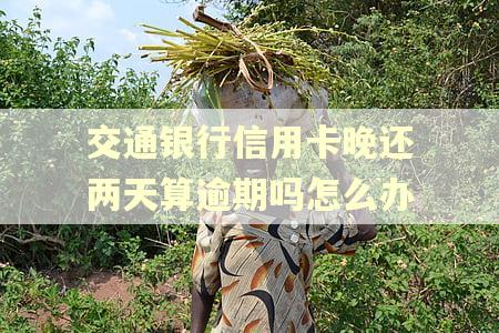 交通银行信用卡晚还两天算逾期吗怎么办