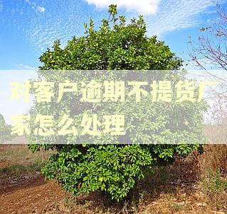对客户逾期不提货厂家怎么处理 对客户逾期不提货厂家怎么处理