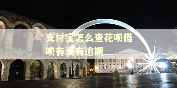 支付宝怎么查花呗借呗有没有逾期