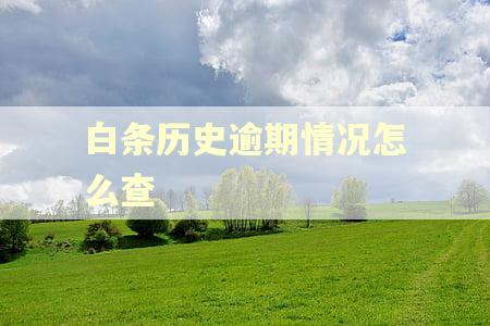 白条历史逾期情况怎么查
