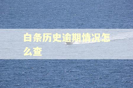 白条历史逾期情况怎么查