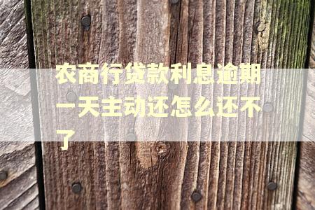 农商行贷款利息逾期一天主动还怎么还不了