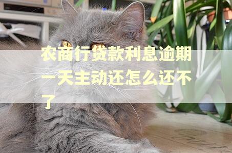 农商行贷款利息逾期一天主动还怎么还不了 农商行贷款利息逾期一天主动还怎么还不了