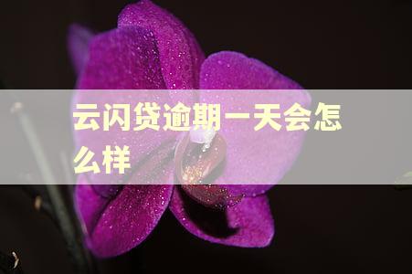 云闪贷逾期一天会怎么样