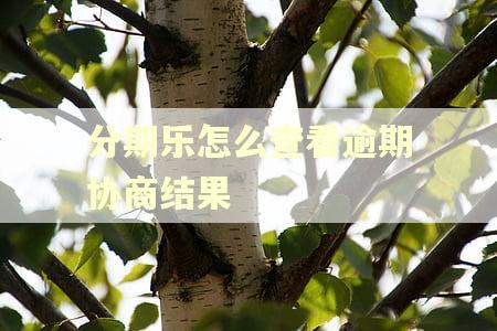 分期乐怎么查看逾期协商结果