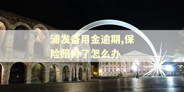 浦发备用金逾期,保险赔付了怎么办