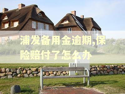 浦发备用金逾期,保险赔付了怎么办