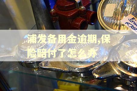 浦发备用金逾期,保险赔付了怎么办