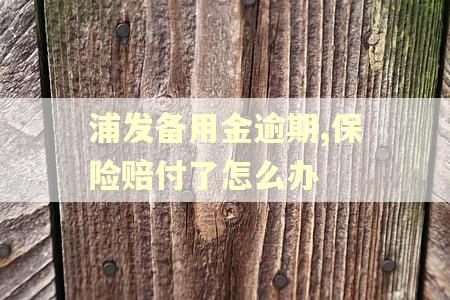 浦发备用金逾期,保险赔付了怎么办