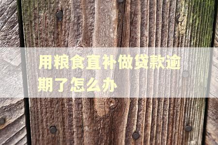 用粮食直补做贷款逾期了怎么办 用粮食直补做贷款逾期了怎么办