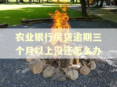 农业银行房贷逾期三个月以上没还怎么办
