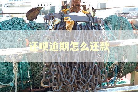 还呗逾期怎么还款