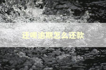 还呗逾期怎么还款
