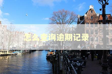 怎么查询逾期记录