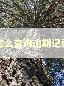 怎么查询逾期记录