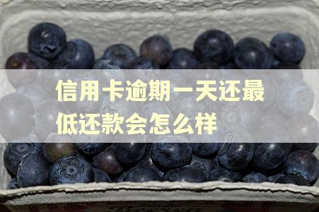 信用卡逾期一天还最低还款会怎么样