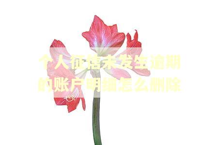 个人征信未发生逾期的账户明细怎么删除