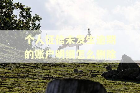 个人征信未发生逾期的账户明细怎么删除