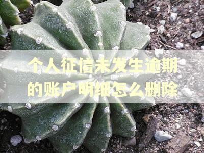 个人征信未发生逾期的账户明细怎么删除 个人征信未发生逾期的账户明细怎么删除