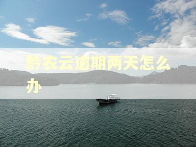 黔农云逾期两天怎么办