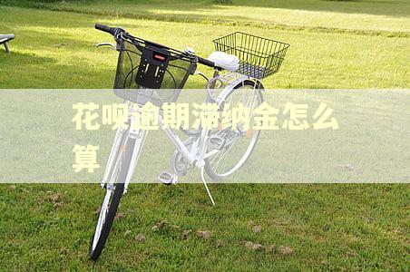 花呗逾期滞纳金怎么算