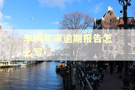 车辆年审逾期报告怎么写