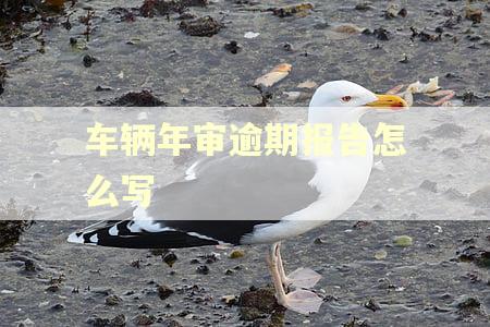 车辆年审逾期报告怎么写