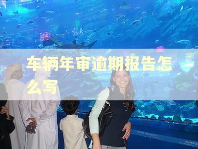 车辆年审逾期报告怎么写