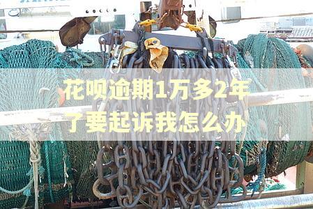 花呗逾期1万多2年了要起诉我怎么办